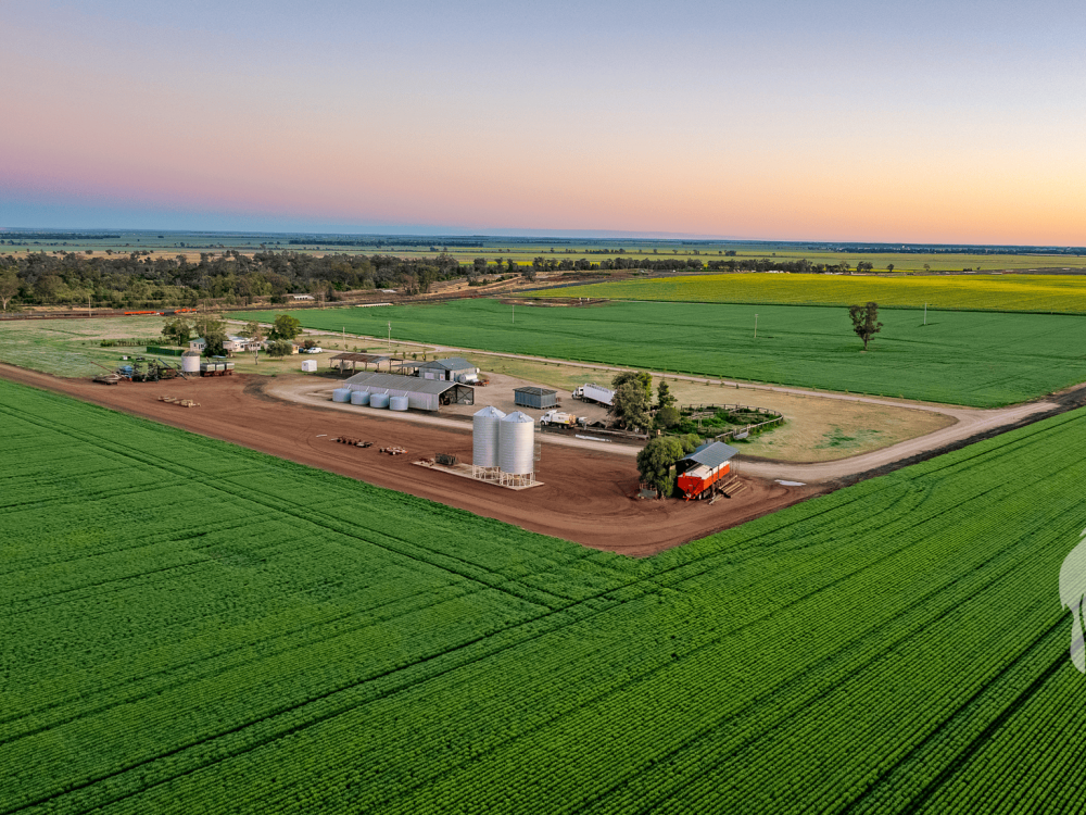 13012 Newell Highway, NARRABRI, NSW 2390 AUS