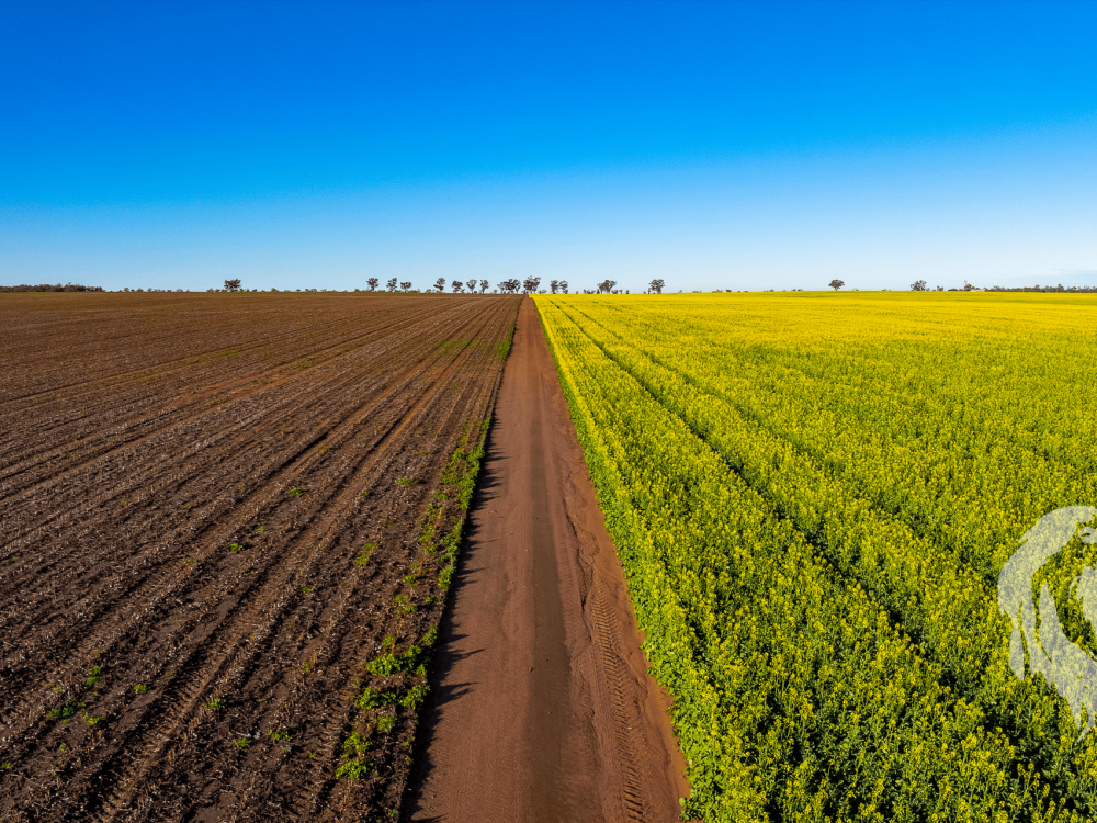 13012 Newell Highway, NARRABRI, NSW 2390 AUS