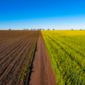 13012 Newell Highway, NARRABRI, NSW 2390 AUS