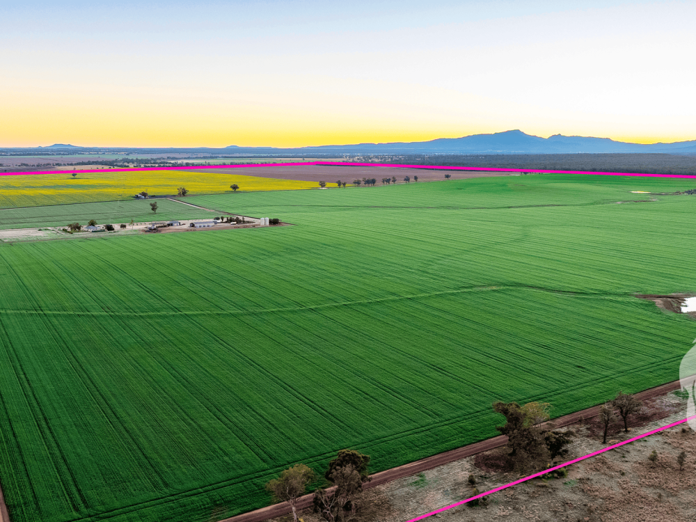 13012 Newell Highway, NARRABRI, NSW 2390 AUS