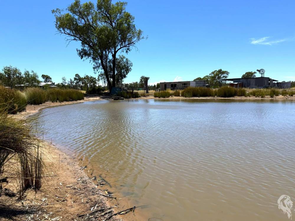 548 Farr Park Road, WEE WAA, NSW 2388 AUS