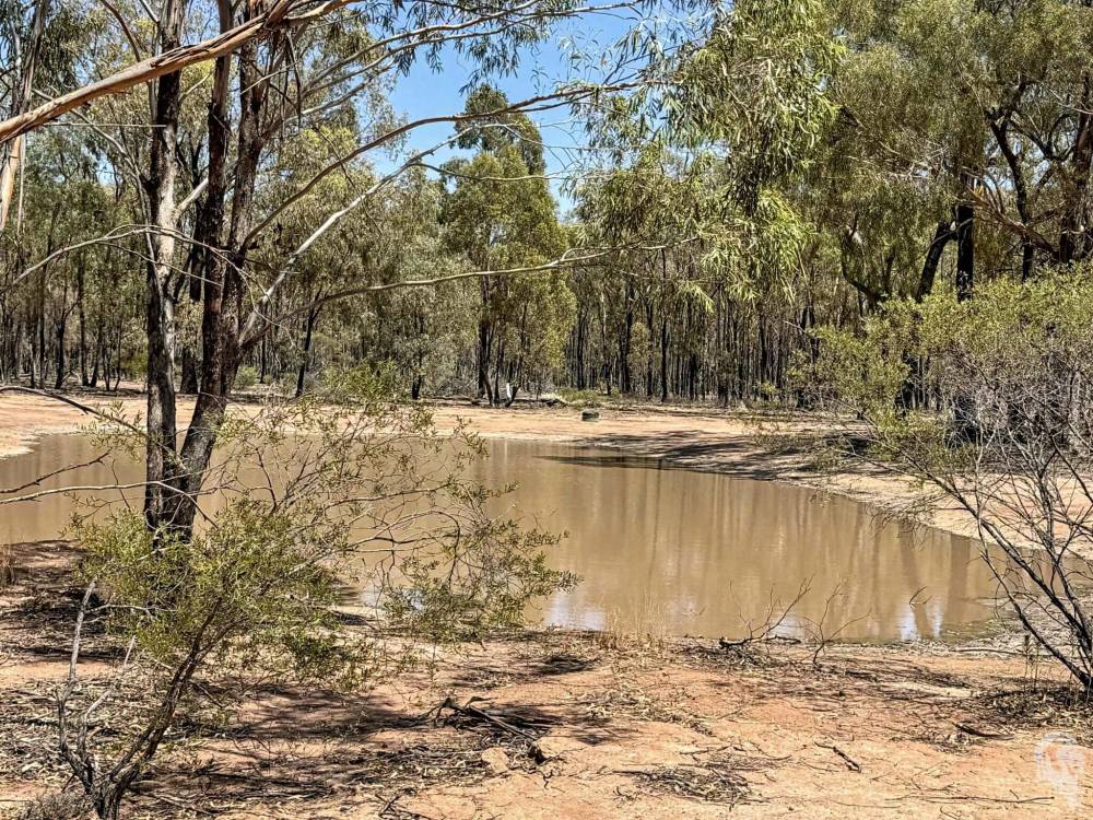 548 Farr Park Road, WEE WAA, NSW 2388 AUS