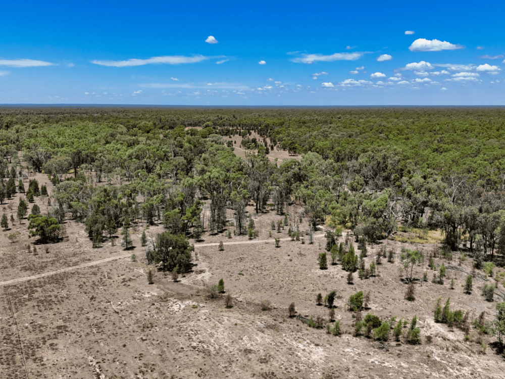 548 Farr Park Road, WEE WAA, NSW 2388 AUS