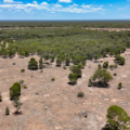 548 Farr Park Road, WEE WAA, NSW 2388 AUS