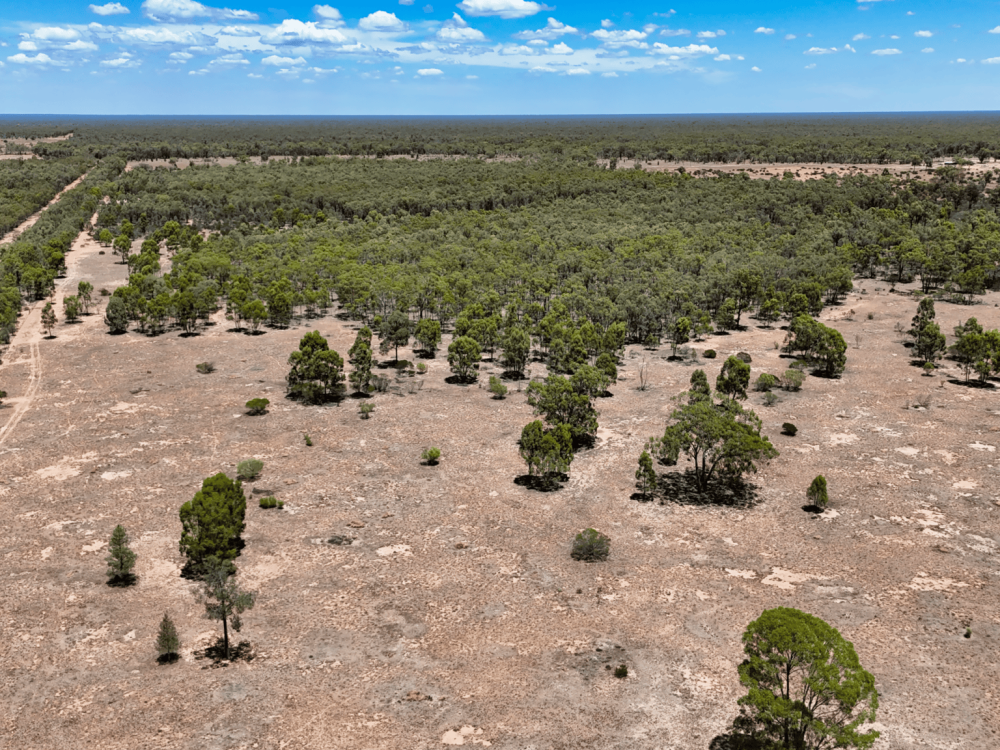 548 Farr Park Road, WEE WAA, NSW 2388 AUS