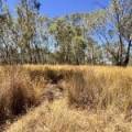 548 Farr Park Road, WEE WAA, NSW 2388 AUS