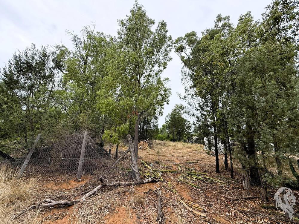 16 Rosenthal Street, GWABEGAR, NSW 2356 AUS