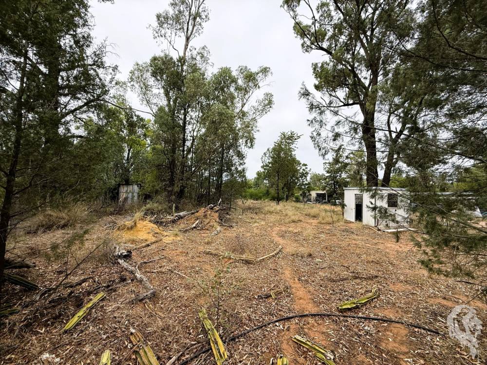 16 Rosenthal Street, GWABEGAR, NSW 2356 AUS