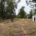 16 Rosenthal Street, GWABEGAR, NSW 2356 AUS