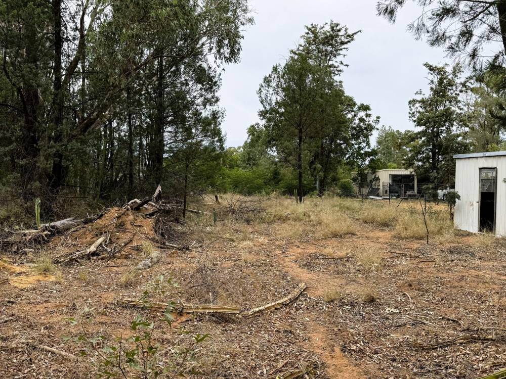 16 Rosenthal Street, GWABEGAR, NSW 2356 AUS