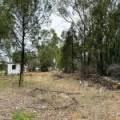 16 Rosenthal Street, GWABEGAR, NSW 2356 AUS