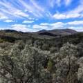 312 Spion Kop Road, MAULES CREEK, NSW 2382 AUS
