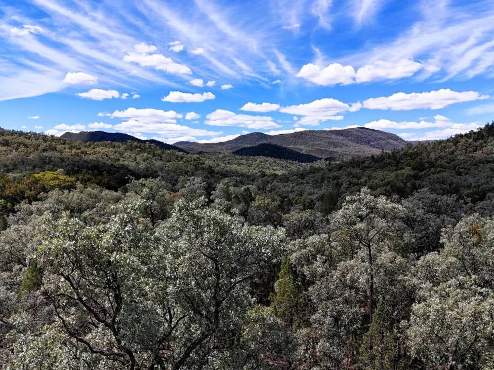 312 Spion Kop Road, MAULES CREEK, NSW 2382 AUS