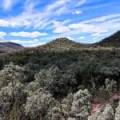 312 Spion Kop Road, MAULES CREEK, NSW 2382 AUS
