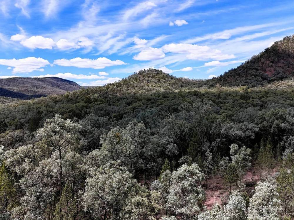 312 Spion Kop Road, MAULES CREEK, NSW 2382 AUS