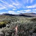312 Spion Kop Road, MAULES CREEK, NSW 2382 AUS