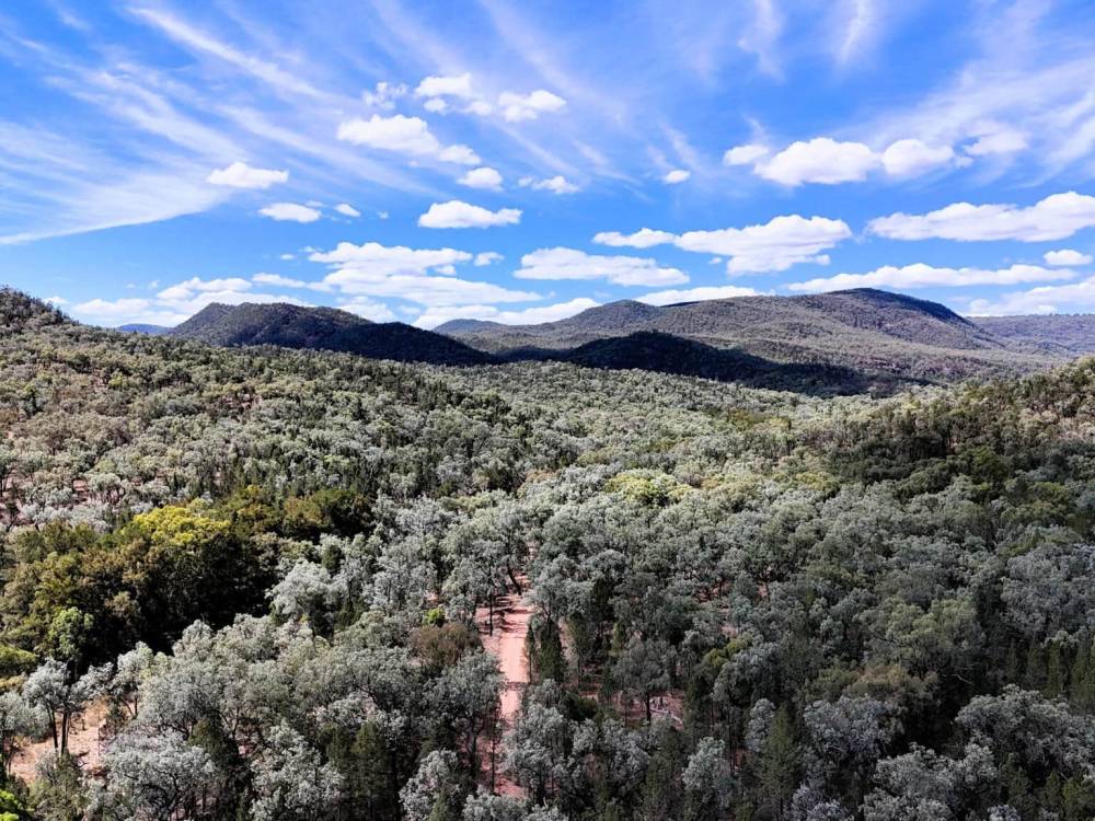 312 Spion Kop Road, MAULES CREEK, NSW 2382 AUS