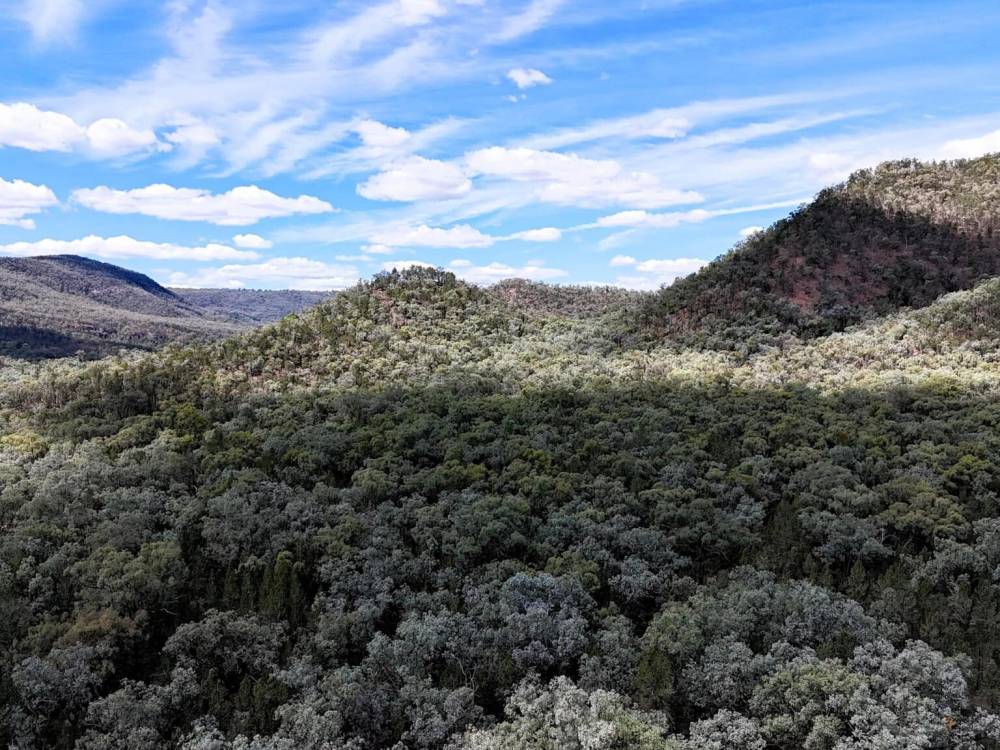 312 Spion Kop Road, MAULES CREEK, NSW 2382 AUS