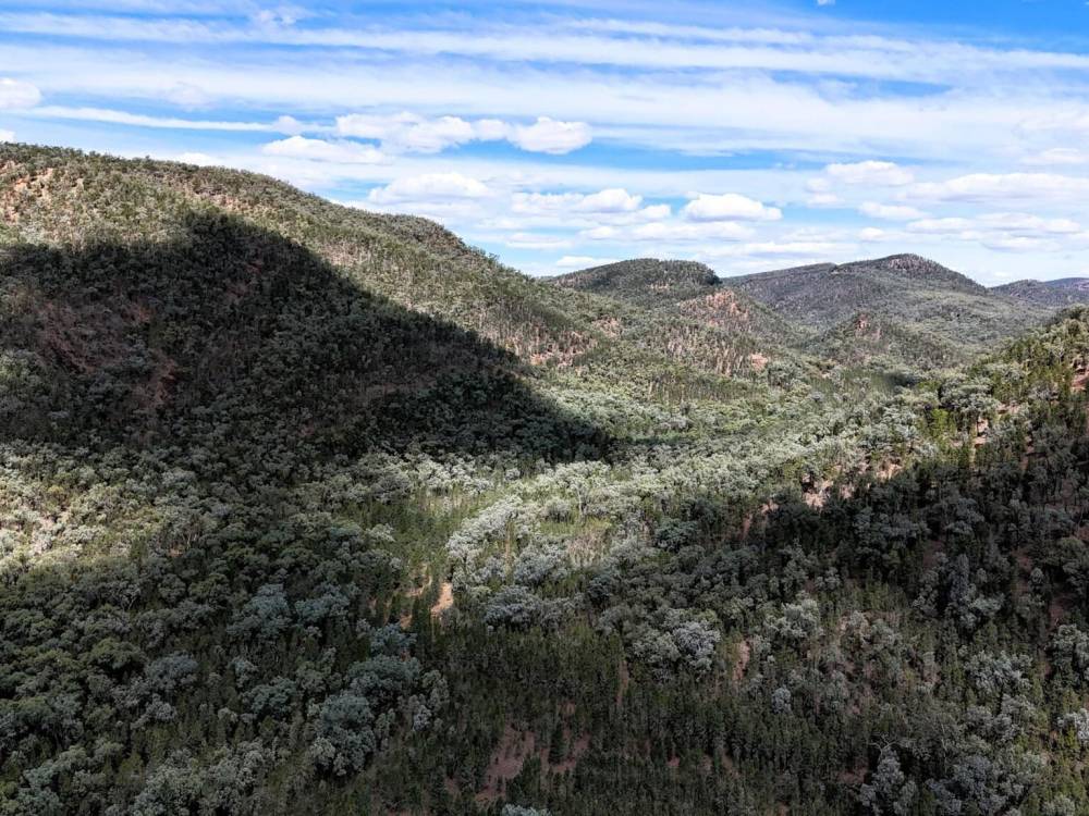 312 Spion Kop Road, MAULES CREEK, NSW 2382 AUS