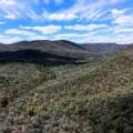 312 Spion Kop Road, MAULES CREEK, NSW 2382 AUS