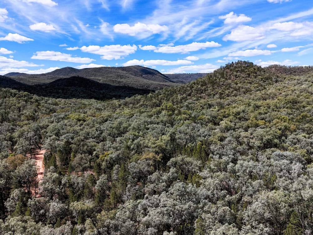 312 Spion Kop Road, MAULES CREEK, NSW 2382 AUS