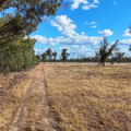 10402 Newell Highway, JACKS CREEK, NSW 2390 AUS