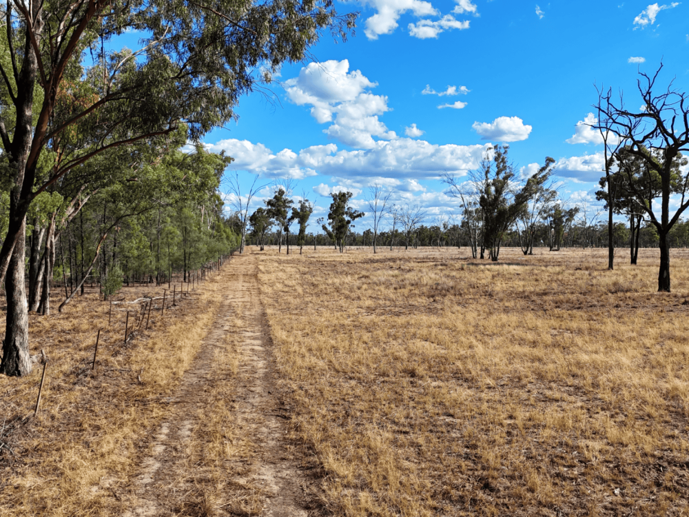 10402 Newell Highway, JACKS CREEK, NSW 2390 AUS