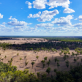 10402 Newell Highway, JACKS CREEK, NSW 2390 AUS