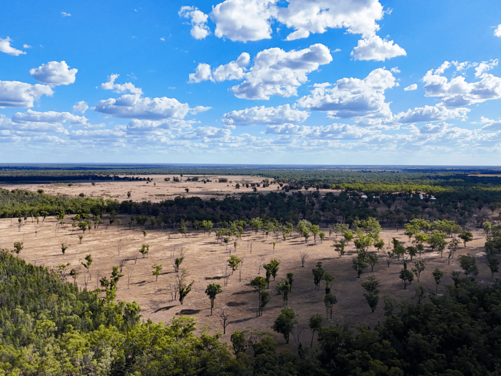 10402 Newell Highway, JACKS CREEK, NSW 2390 AUS