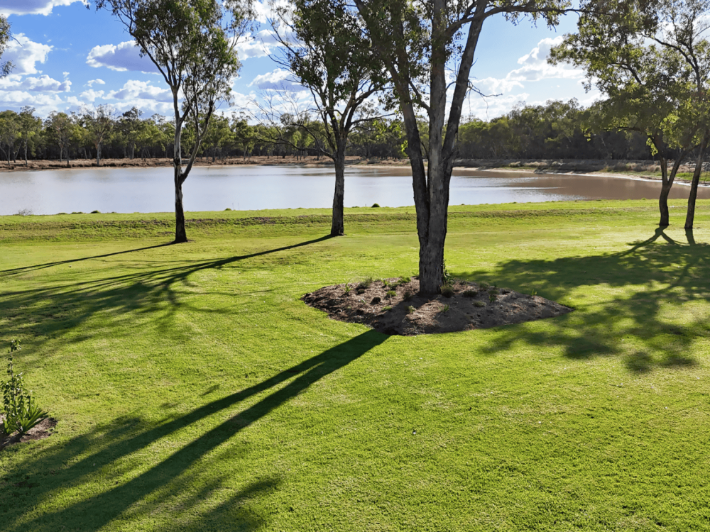 10402 Newell Highway, JACKS CREEK, NSW 2390 AUS