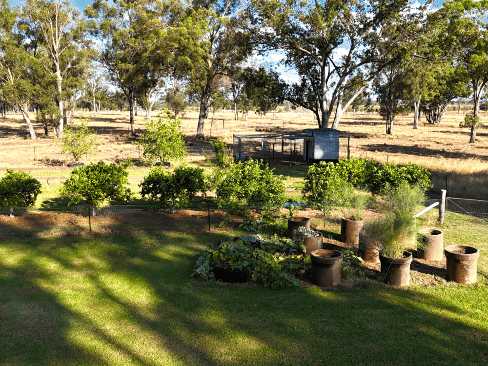 10402 Newell Highway, JACKS CREEK, NSW 2390 AUS