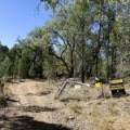 312 Spion Kop Road, MAULES CREEK, NSW 2382 AUS