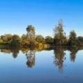 296 Forest Way, WEE WAA, NSW 2388 AUS