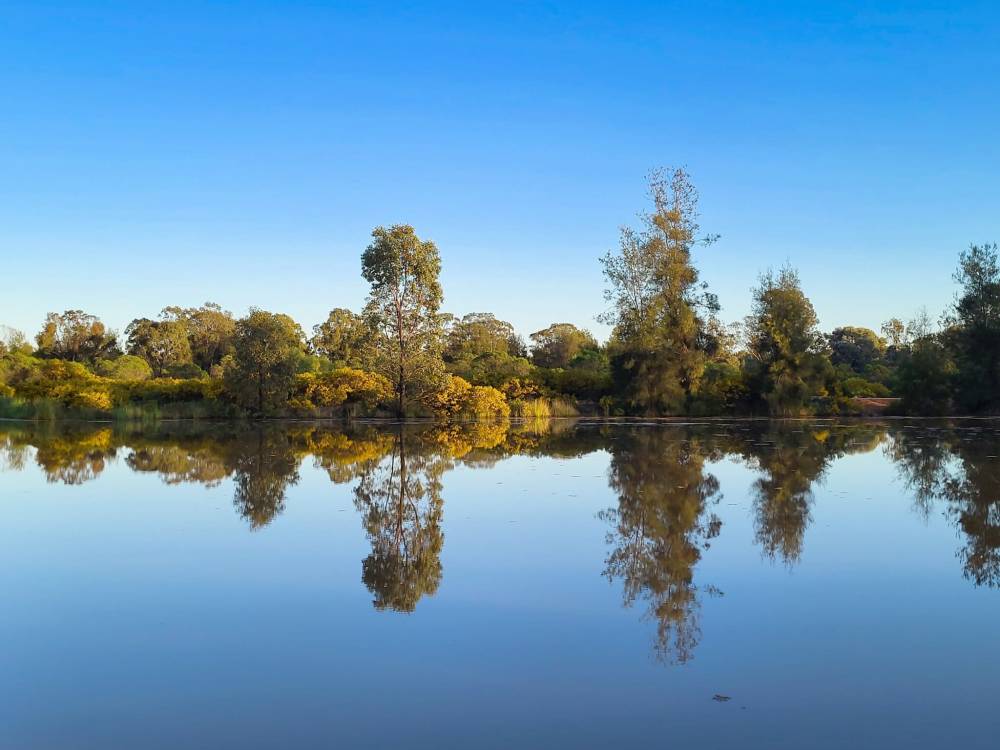 296 Forest Way, WEE WAA, NSW 2388 AUS