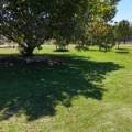 476 Kaputar Road, NARRABRI, NSW 2390 AUS
