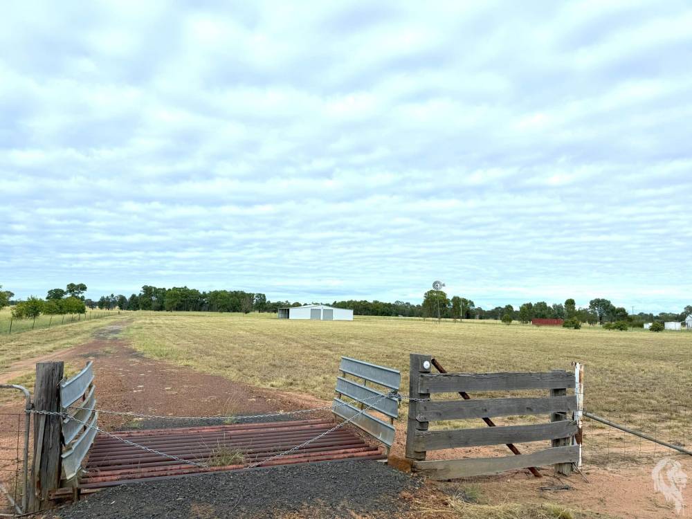252 Jacks Creek Road, NARRABRI, NSW 2390 AUS