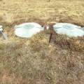 252 Jacks Creek Road, NARRABRI, NSW 2390 AUS