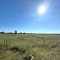 25 Piper Lane, NARRABRI, NSW 2390 AUS