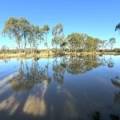 10 Garwi Street, BAAN BAA, NSW 2390 AUS