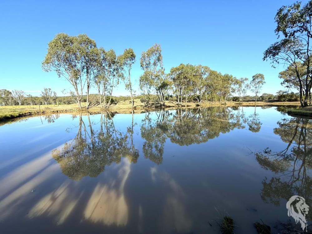 10 Garwi Street, BAAN BAA, NSW 2390 AUS