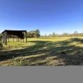 10 Garwi Street, BAAN BAA, NSW 2390 AUS