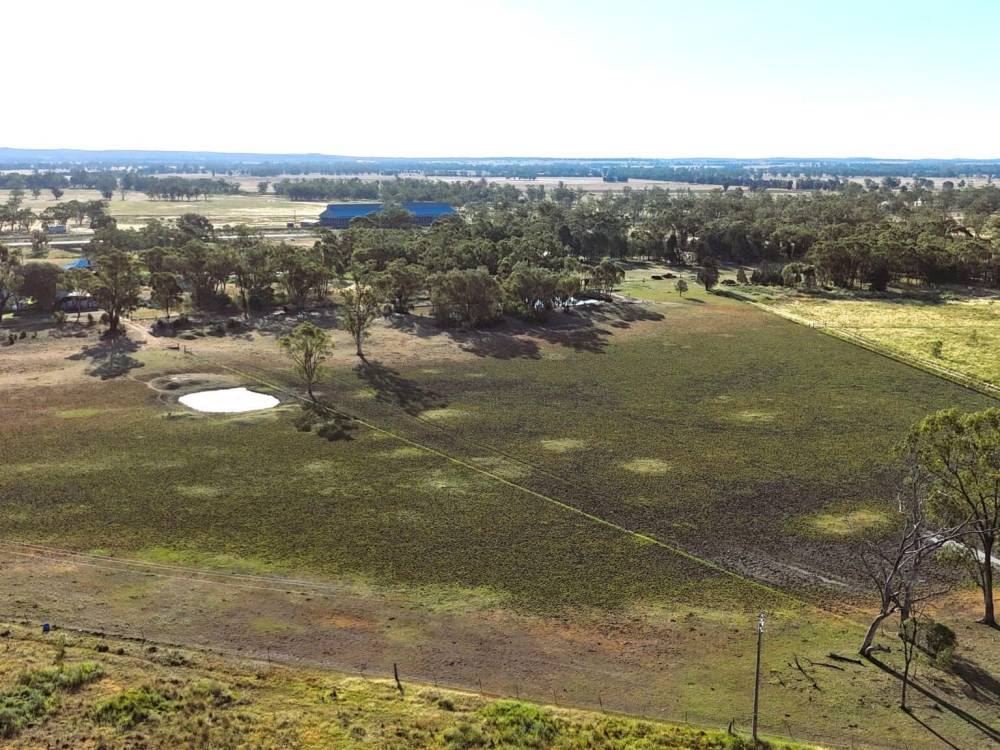 10 Garwi Street, BAAN BAA, NSW 2390 AUS