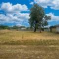 5 Charles Street, WEE WAA, NSW 2388 AUS