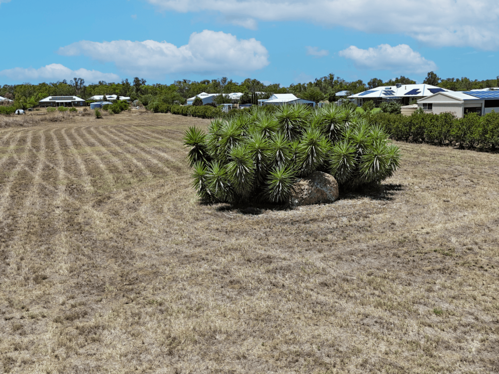 165 Mckenzie Street, NARRABRI, NSW 2390 AUS