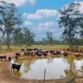10402 Newell Highway, JACKS CREEK, NSW 2390 AUS