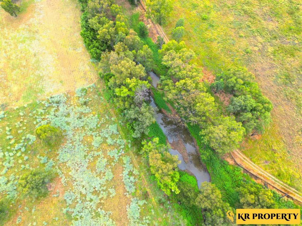 223 Riverside Drive, NARRABRI, NSW 2390 AUS