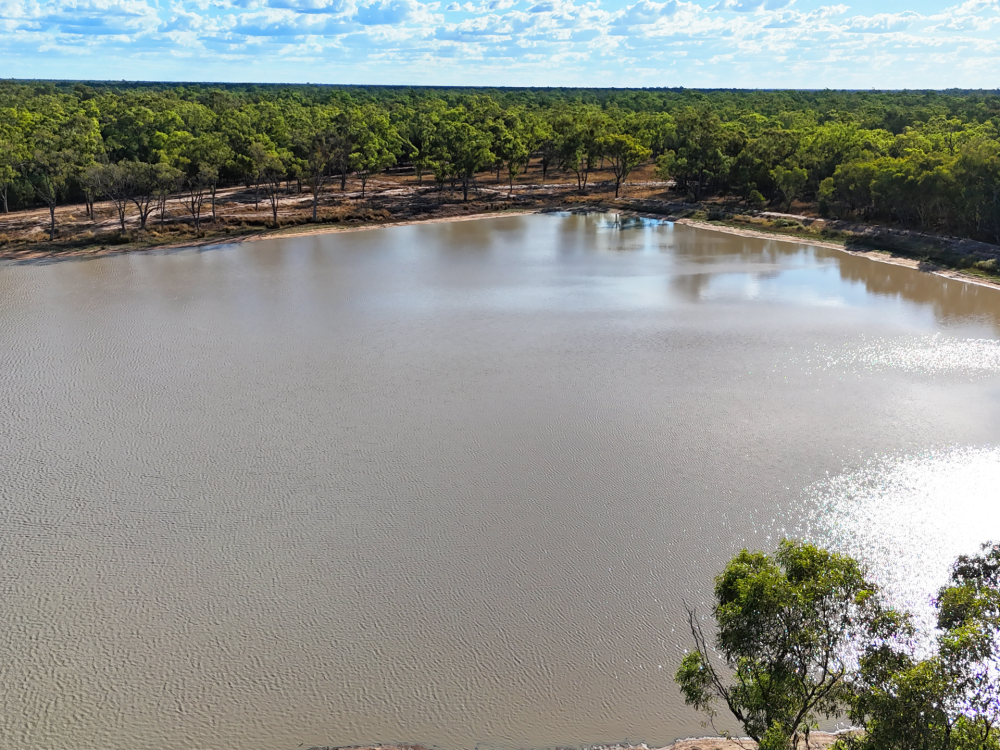 10402 Newell Highway, JACKS CREEK, NSW 2390 AUS