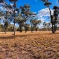 10402 Newell Highway, JACKS CREEK, NSW 2390 AUS