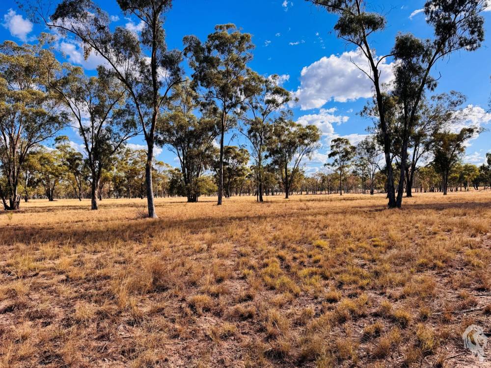 10402 Newell Highway, JACKS CREEK, NSW 2390 AUS