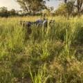 10402 Newell Highway, JACKS CREEK, NSW 2390 AUS